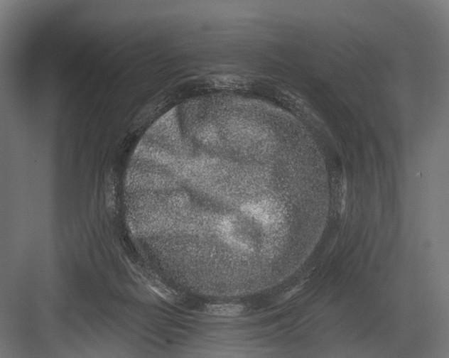 X0000082680266200702161706