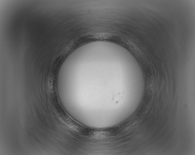 X0000082680268200702161706