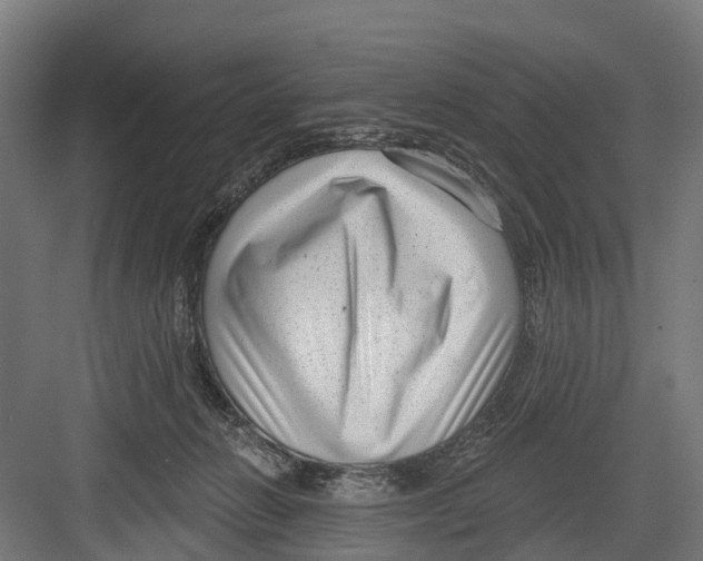 X0000082680270200702161706