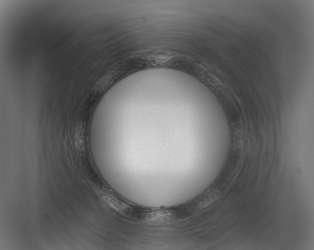 X0000082680274200702161706