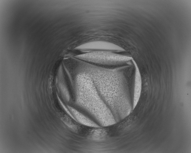 X0000082680275200702161706