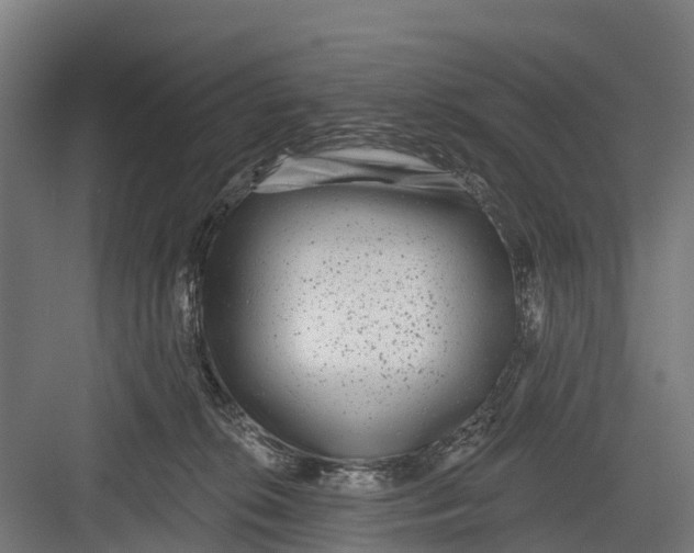 X0000082680276200702161706