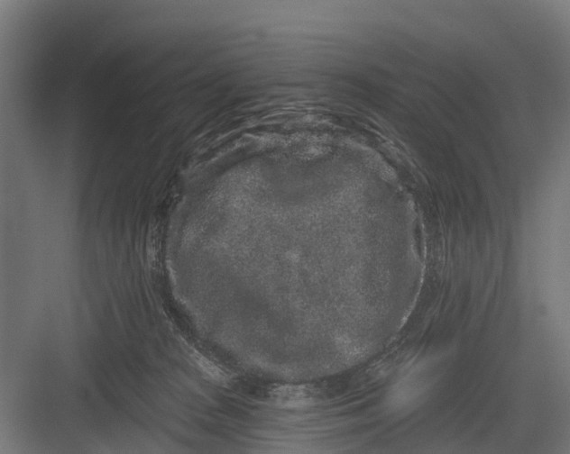 X0000082680277200702161706