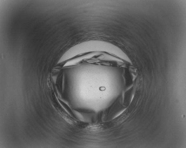 X0000082680280200702161706