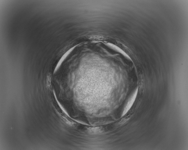 X0000082680281200702161706