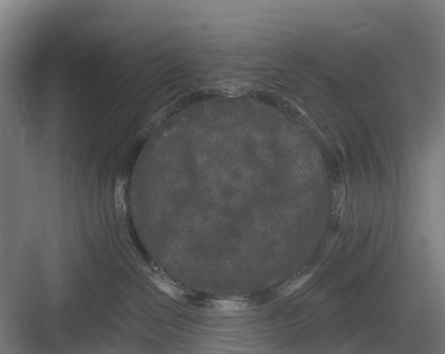 X0000082680286200702161706