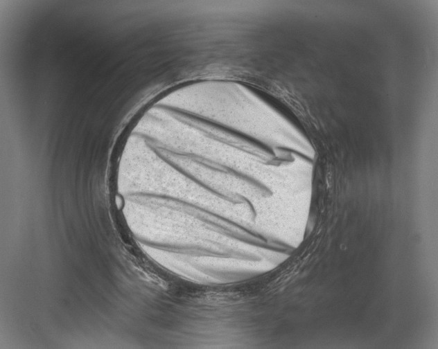 X0000082680292200702161705