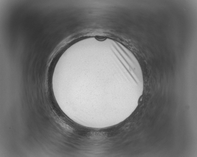 X0000082680296200702161705