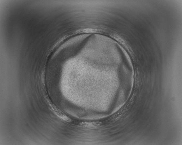 X0000082680297200702161705