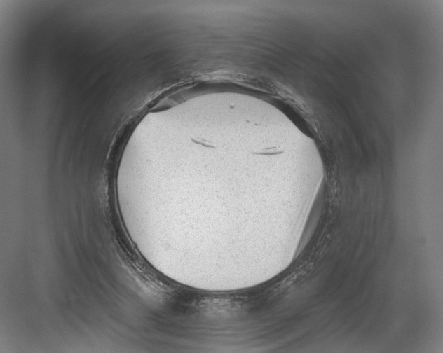 X0000082680298200702161705