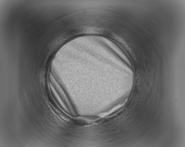 X0000082680299200702161705