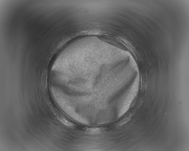 X0000082680301200702161705