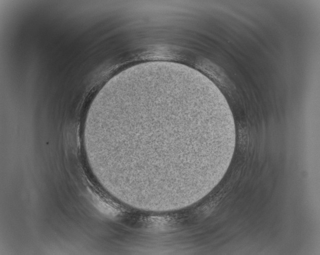 X0000082680302200702161705