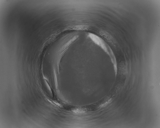 X0000082680303200702161705