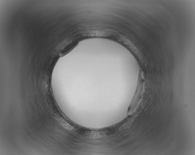 X0000082680305200702161705