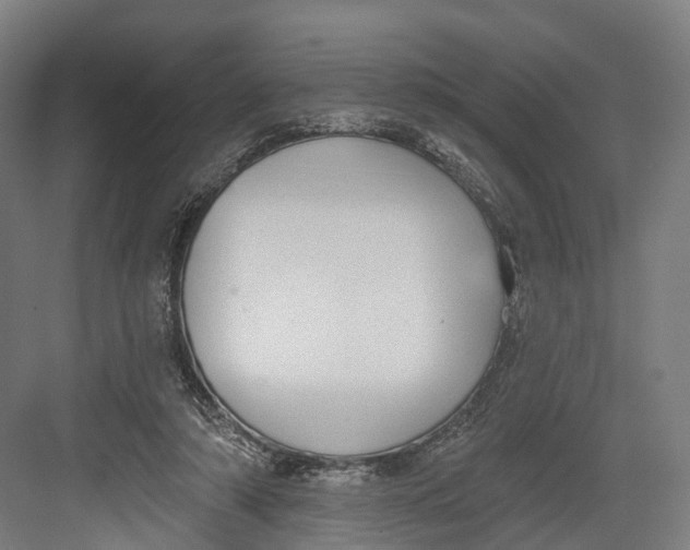 X0000082680306200702161705