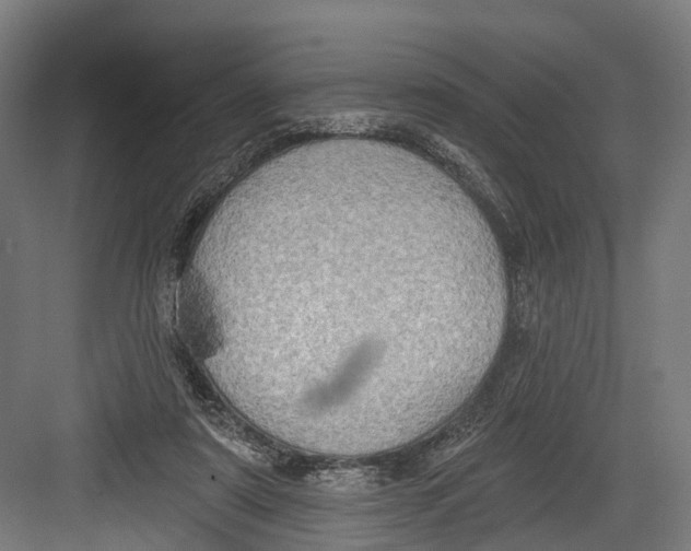 X0000082680307200702161705