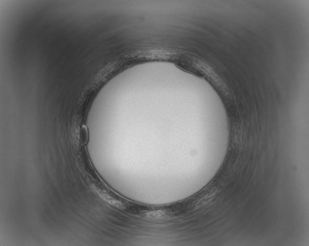 X0000082680309200702161705