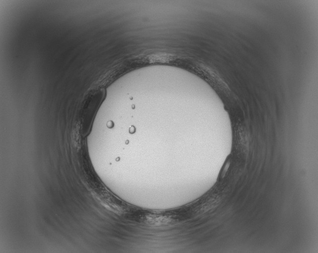 X0000082680311200702161705