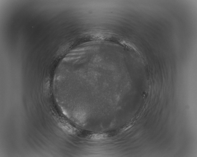 X0000082680314200702161705