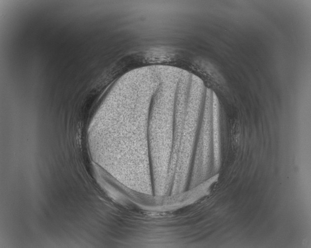 X0000082680315200702161705