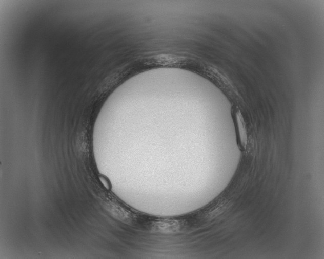 X0000082680317200702161705