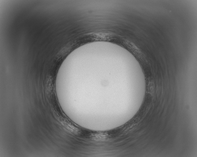 X0000082680318200702161705