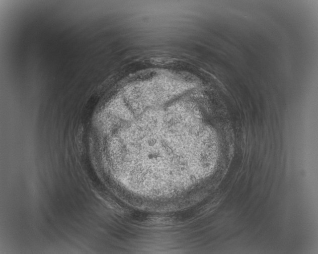 X0000082680319200702161705