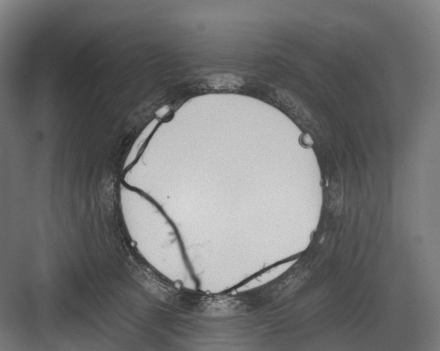 X0000082680321200702161705