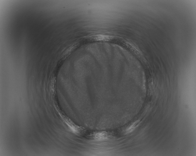 X0000082680325200702161705