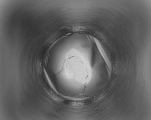 X0000082680327200702161705