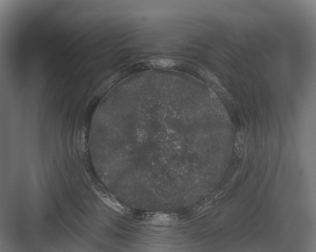 X0000082680330200702161705