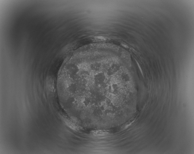 X0000082680331200702161705