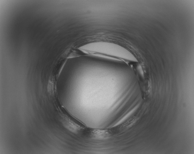 X0000082680333200702161705