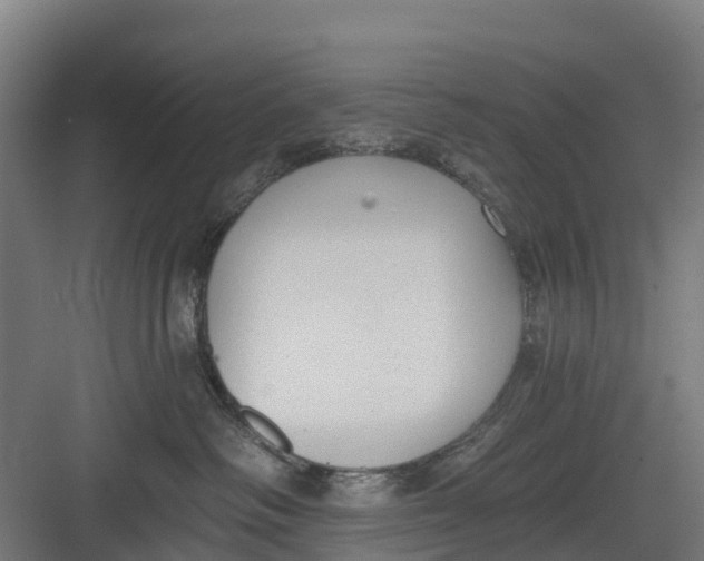 X0000082680334200702161705