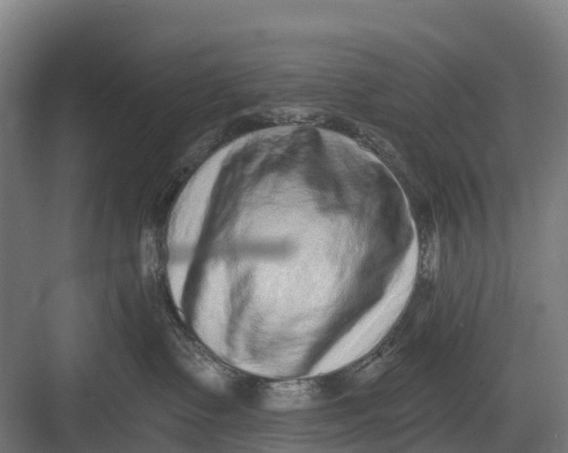 X0000082680335200702161705