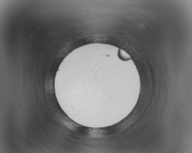 X0000082680336200702161704