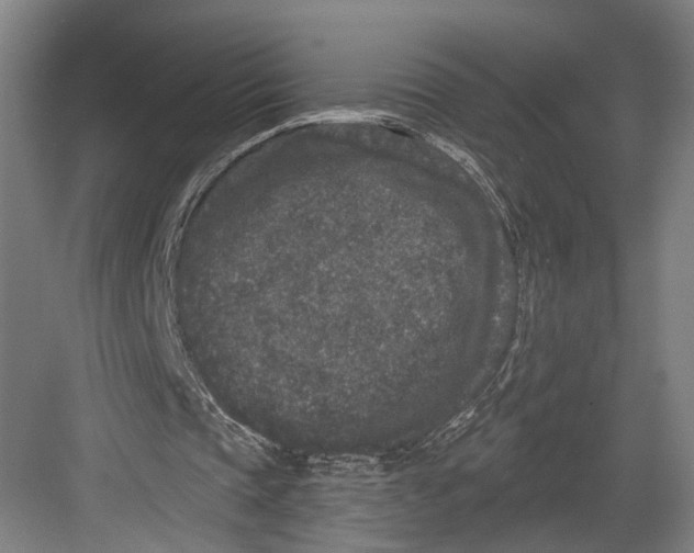 X0000082680337200702161704