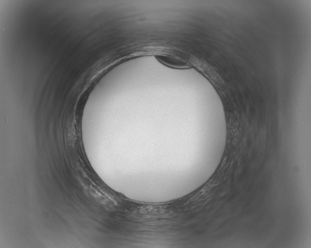 X0000082680338200702161704