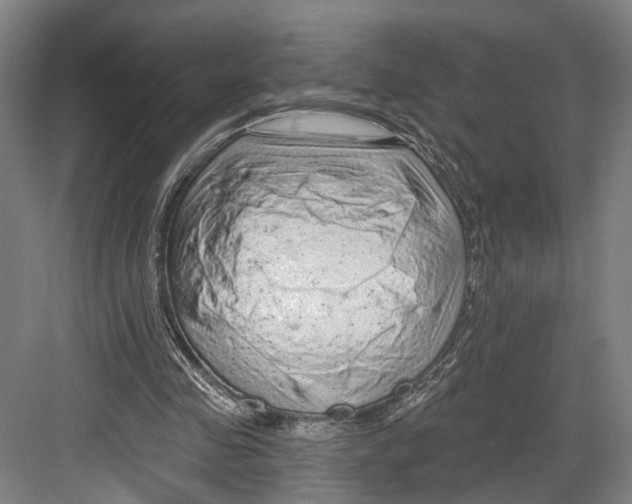 X0000082680341200702161704