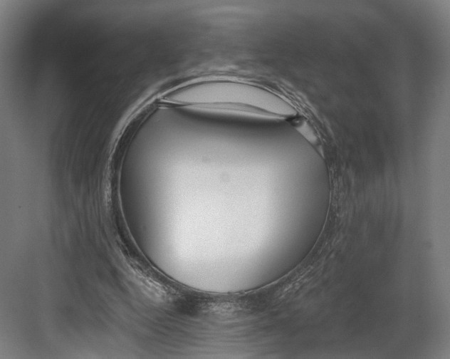 X0000082680344200702161704