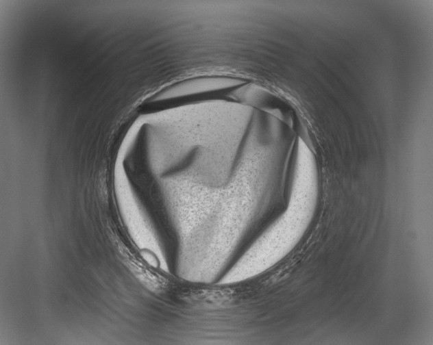 X0000082680345200702161704