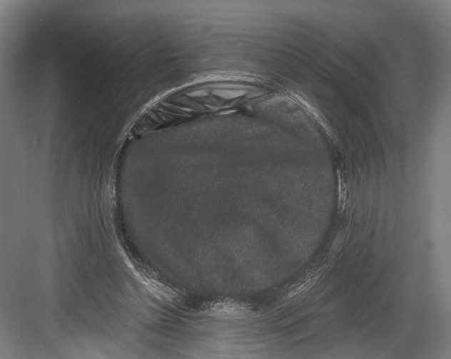 X0000082680348200702161704