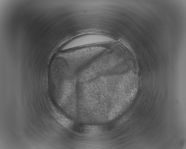 X0000082680349200702161704