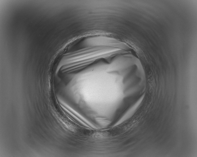 X0000082680350200702161704