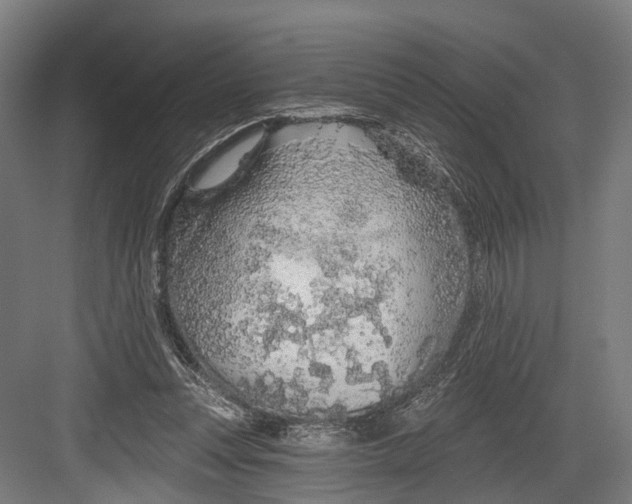 X0000082680351200702161704