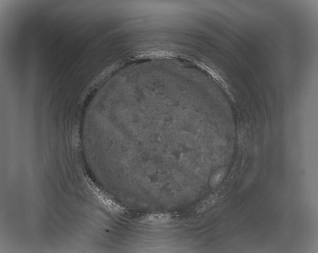 X0000082680353200702161704