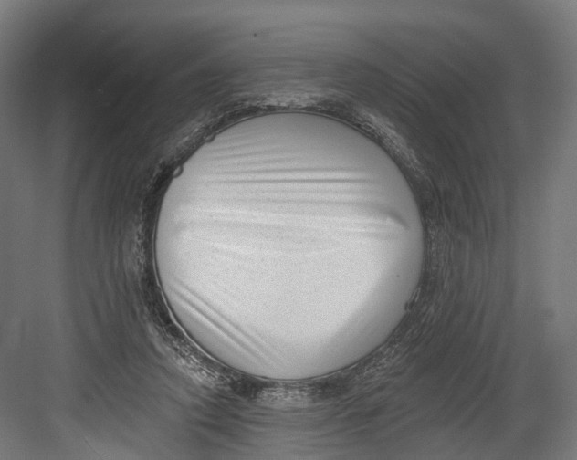 X0000082680354200702161704