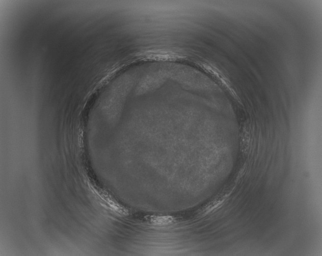 X0000082680355200702161704