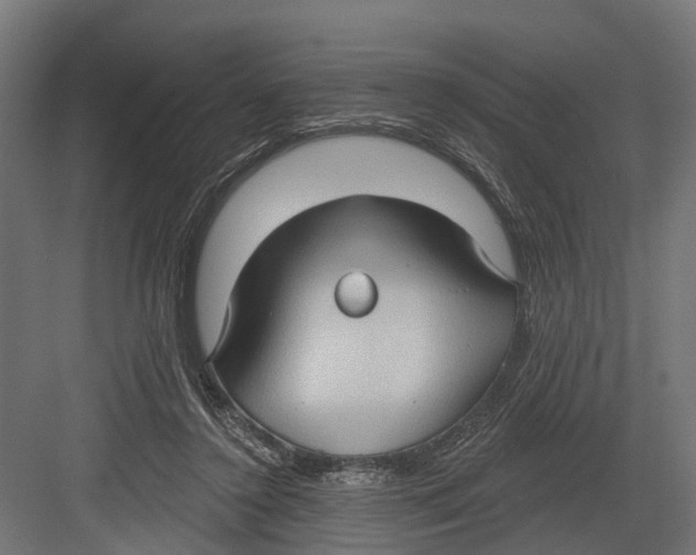 X0000082680356200702161704